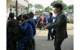 丰硕的业余生涯